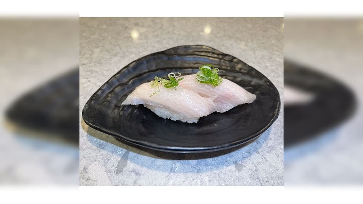 Yellowtail